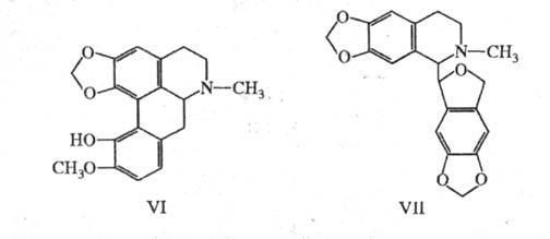 https://www.medpulse.ru/image/encyclopedia/3/2/5/19325.jpeg