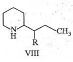 https://www.medpulse.ru/image/encyclopedia/3/2/6/19326.jpeg