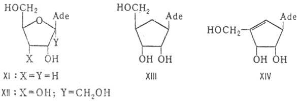 https://www.medpulse.ru/image/encyclopedia/3/2/6/9326.jpeg