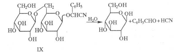 https://www.medpulse.ru/image/encyclopedia/3/2/7/19327.jpeg