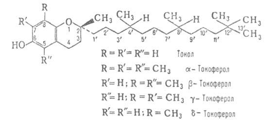 https://www.medpulse.ru/image/encyclopedia/3/2/8/4328.jpeg