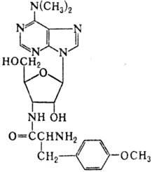 https://www.medpulse.ru/image/encyclopedia/3/2/8/9328.jpeg