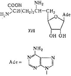 https://www.medpulse.ru/image/encyclopedia/3/2/9/9329.jpeg