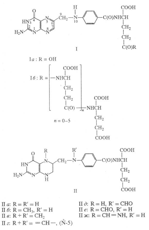 https://www.medpulse.ru/image/encyclopedia/3/3/0/15330.jpeg