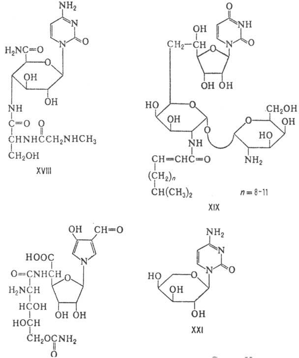 https://www.medpulse.ru/image/encyclopedia/3/3/0/9330.jpeg