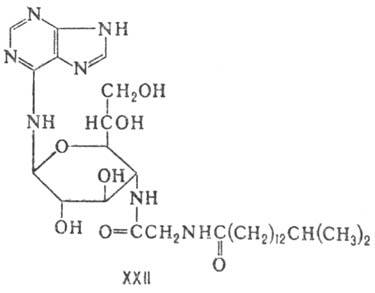 https://www.medpulse.ru/image/encyclopedia/3/3/1/9331.jpeg