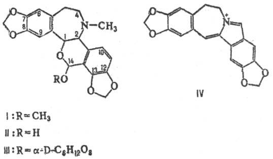 https://www.medpulse.ru/image/encyclopedia/3/3/2/12332.jpeg