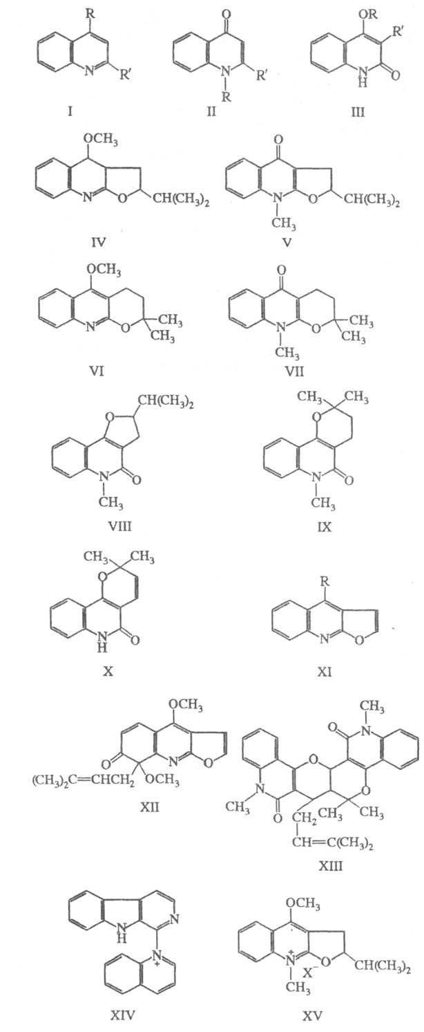 https://www.medpulse.ru/image/encyclopedia/3/3/2/16332.jpeg