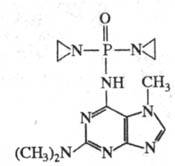 https://www.medpulse.ru/image/encyclopedia/3/3/7/15337.jpeg