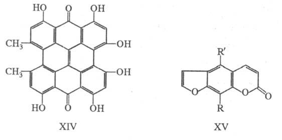 https://www.medpulse.ru/image/encyclopedia/3/3/9/19339.jpeg