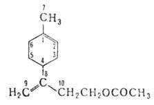 https://www.medpulse.ru/image/encyclopedia/3/3/9/3339.jpeg