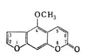 https://www.medpulse.ru/image/encyclopedia/3/4/1/3341.jpeg