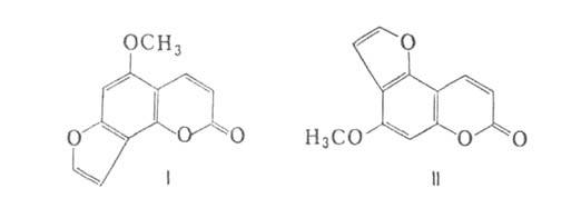 https://www.medpulse.ru/image/encyclopedia/3/4/2/3342.jpeg