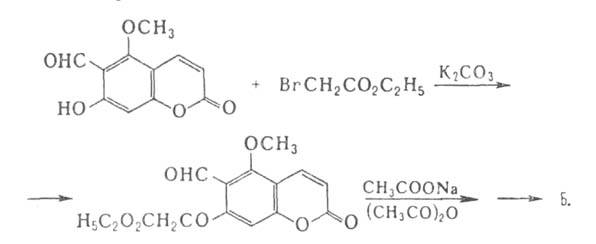 https://www.medpulse.ru/image/encyclopedia/3/4/3/3343.jpeg