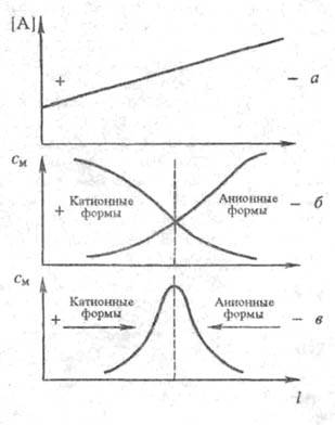 https://www.medpulse.ru/image/encyclopedia/3/5/8/18358.jpeg