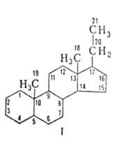 https://www.medpulse.ru/image/encyclopedia/3/5/9/5359.jpeg