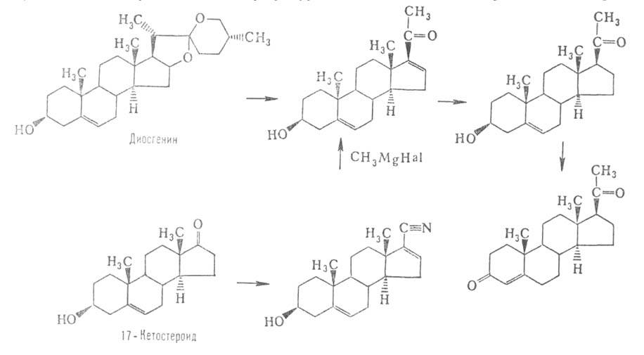 https://www.medpulse.ru/image/encyclopedia/3/6/2/5362.jpeg