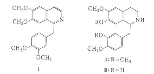 https://www.medpulse.ru/image/encyclopedia/3/6/6/10366.jpeg