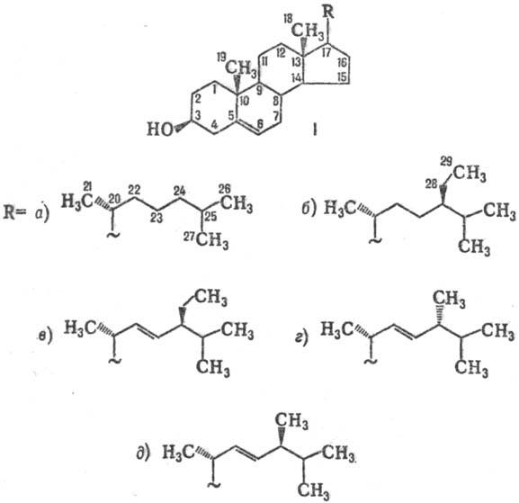 https://www.medpulse.ru/image/encyclopedia/3/7/0/13370.jpeg