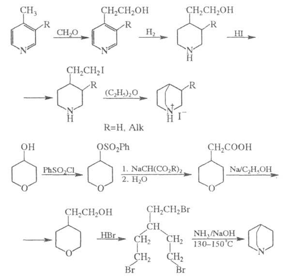 https://www.medpulse.ru/image/encyclopedia/3/7/0/16370.jpeg