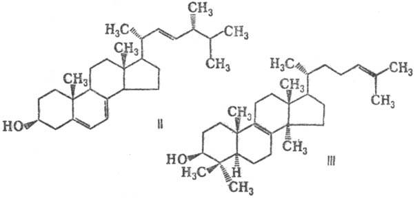 https://www.medpulse.ru/image/encyclopedia/3/7/1/13371.jpeg