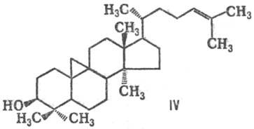 https://www.medpulse.ru/image/encyclopedia/3/7/3/13373.jpeg