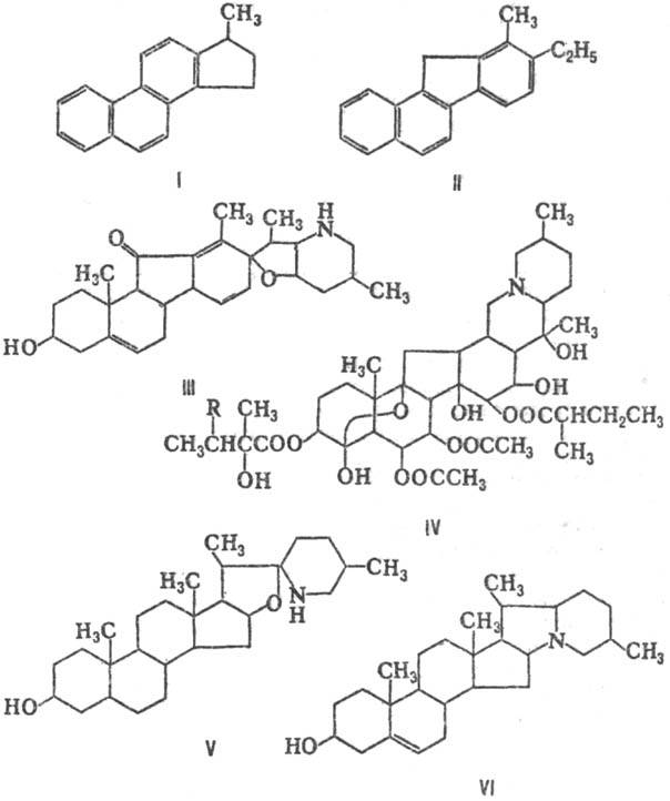 https://www.medpulse.ru/image/encyclopedia/3/7/4/13374.jpeg