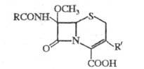 https://www.medpulse.ru/image/encyclopedia/3/7/6/17376.jpeg