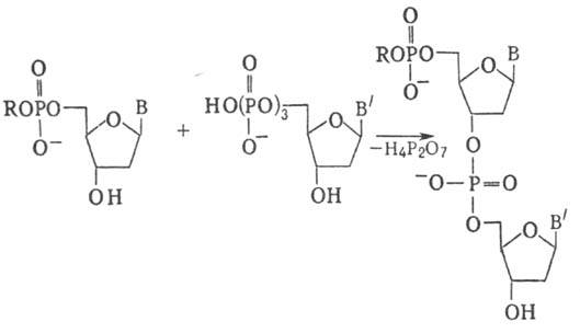 https://www.medpulse.ru/image/encyclopedia/3/9/4/11394.jpeg