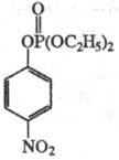 https://www.medpulse.ru/image/encyclopedia/4/1/2/15412.jpeg