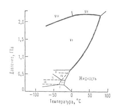 https://www.medpulse.ru/image/encyclopedia/4/1/2/4412.jpeg