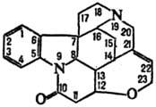 https://www.medpulse.ru/image/encyclopedia/4/1/4/13414.jpeg