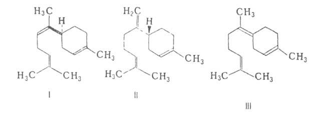 https://www.medpulse.ru/image/encyclopedia/4/2/6/3426.jpeg