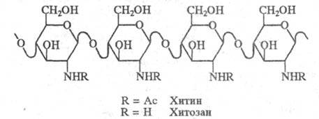 https://www.medpulse.ru/image/encyclopedia/4/2/7/16427.jpeg