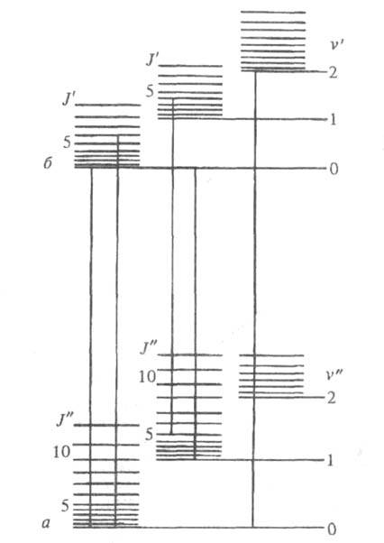 https://www.medpulse.ru/image/encyclopedia/4/2/7/18427.jpeg