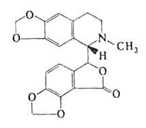 https://www.medpulse.ru/image/encyclopedia/4/3/0/3430.jpeg