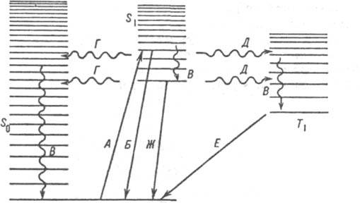 https://www.medpulse.ru/image/encyclopedia/4/3/2/7432.jpeg