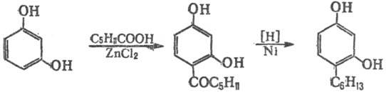 https://www.medpulse.ru/image/encyclopedia/4/3/4/12434.jpeg