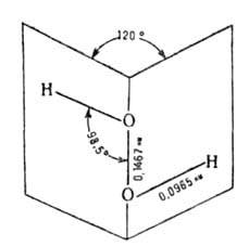 https://www.medpulse.ru/image/encyclopedia/4/3/5/4435.jpeg