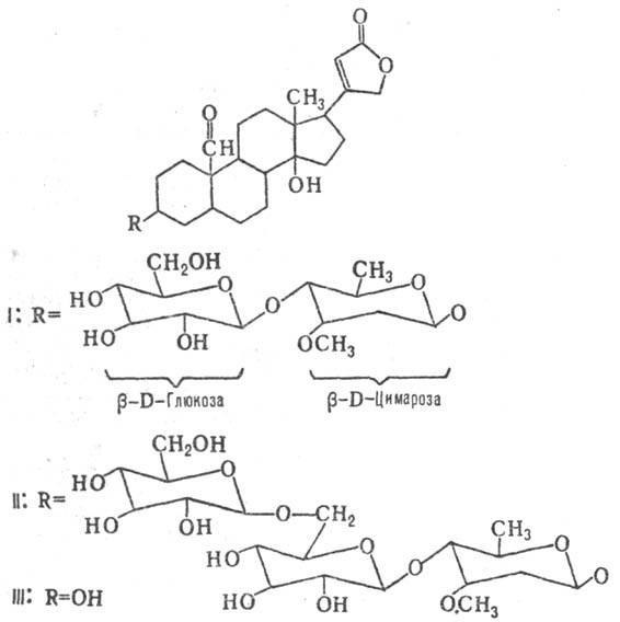 https://www.medpulse.ru/image/encyclopedia/4/4/1/13441.jpeg