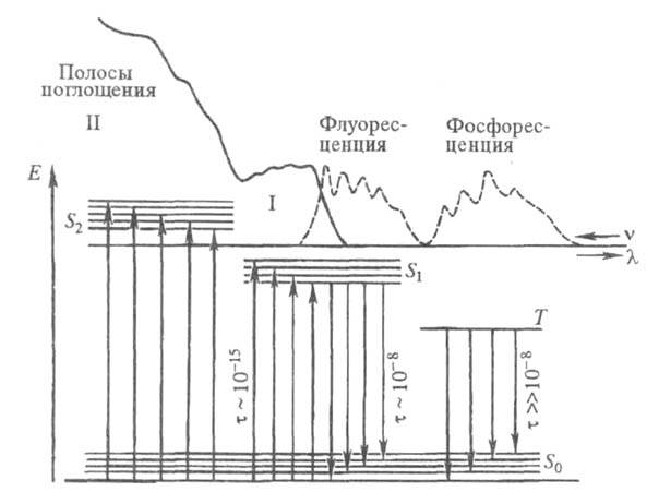 https://www.medpulse.ru/image/encyclopedia/4/6/2/18462.jpeg