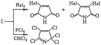 https://www.medpulse.ru/image/encyclopedia/4/6/4/13464.jpeg