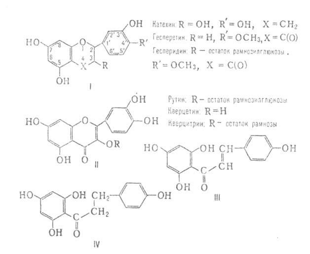 https://www.medpulse.ru/image/encyclopedia/4/6/4/3464.jpeg