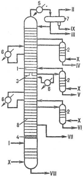 https://www.medpulse.ru/image/encyclopedia/4/6/8/12468.jpeg