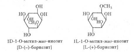 https://www.medpulse.ru/image/encyclopedia/4/7/0/17470.jpeg