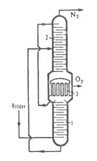 https://www.medpulse.ru/image/encyclopedia/4/7/6/4476.jpeg