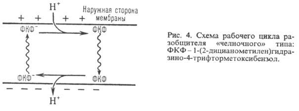 https://www.medpulse.ru/image/encyclopedia/4/7/6/9476.jpeg