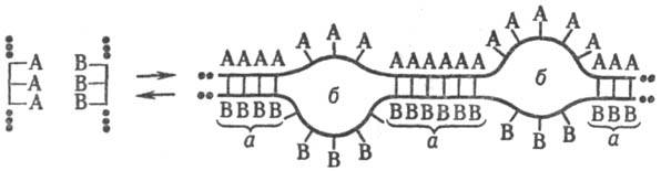 https://www.medpulse.ru/image/encyclopedia/4/7/7/11477.jpeg