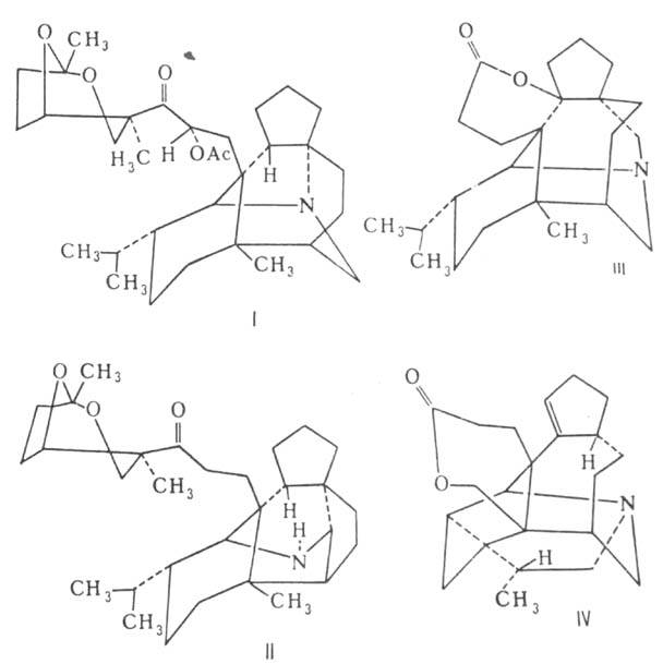 https://www.medpulse.ru/image/encyclopedia/4/9/1/1491.jpeg