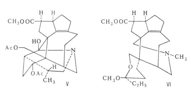 https://www.medpulse.ru/image/encyclopedia/4/9/2/1492.jpeg